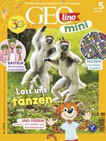 GEOmini